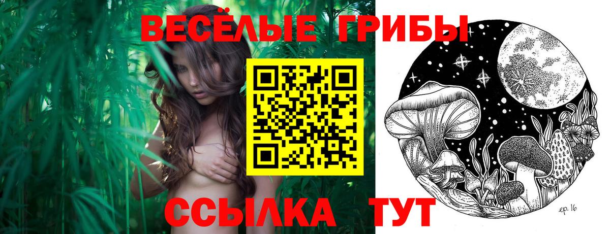 Псилоцибиновые грибы Cubensis Можайск