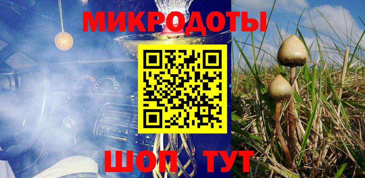 Псилоцибиновые грибы MAGIC MUSHROOMS  Вход с VPN  Можайск  Псилоцибиновые грибы Cubensis 